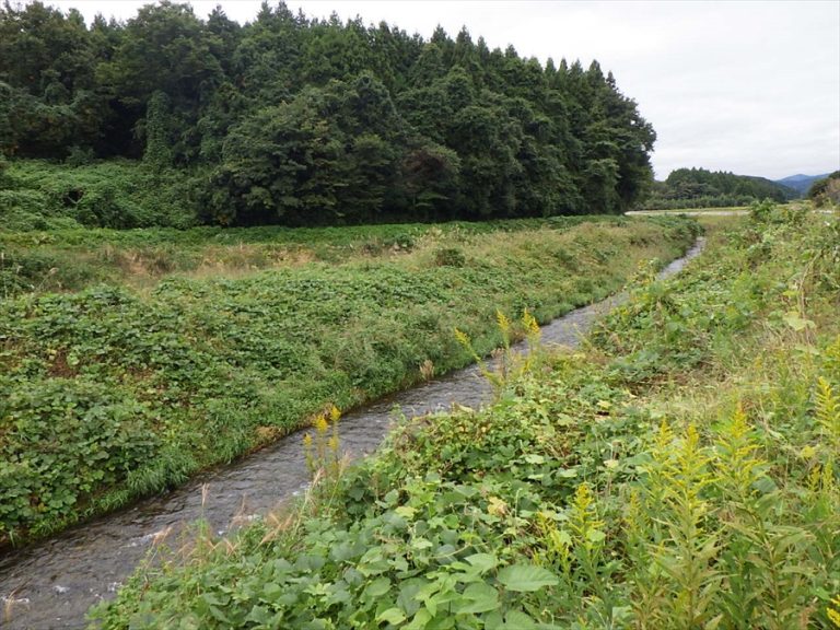 護岸工事田川